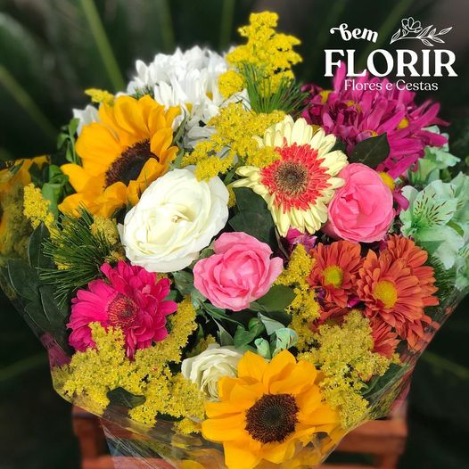 Leia mais sobre o artigo Bem Florir Barretos